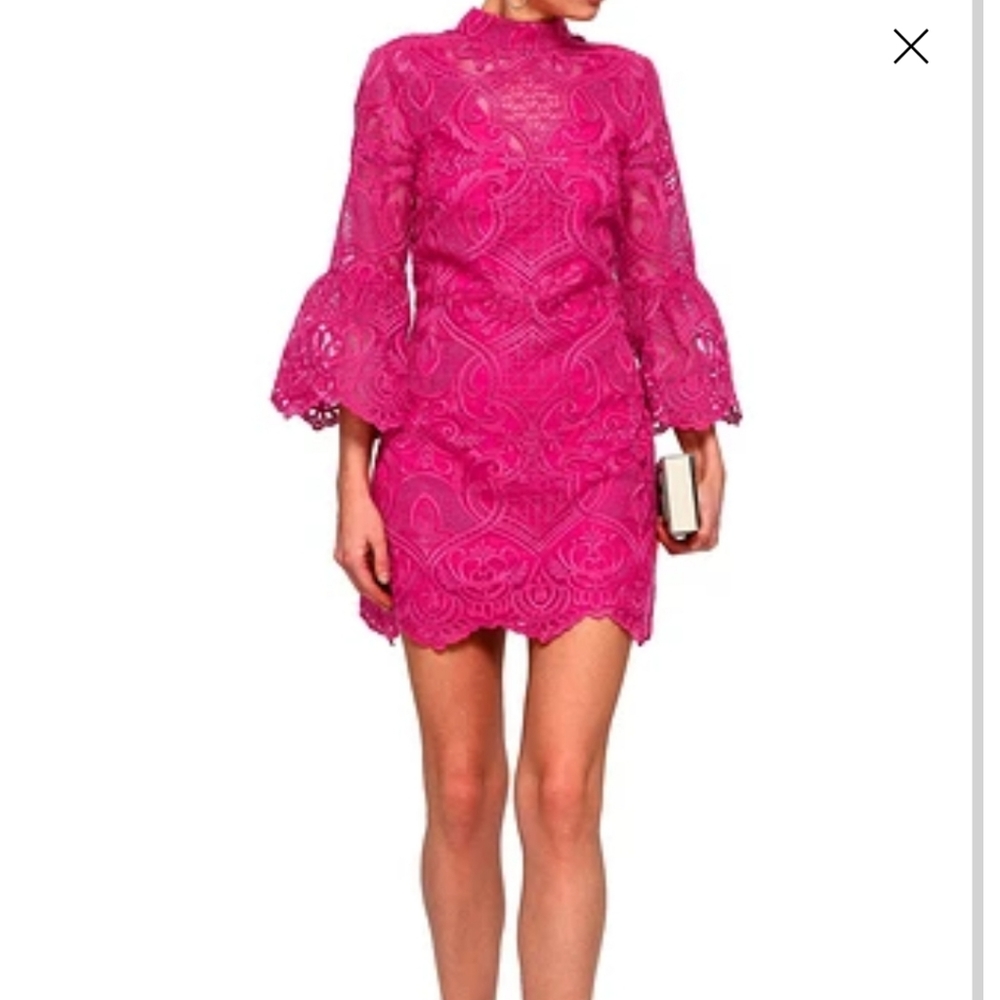 Perseverance Embroidered Organza Mini Dress
